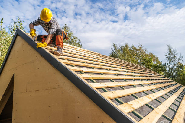 Best Roof Maintenance Services  in Ronceverte, WV