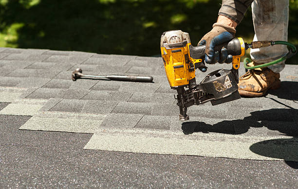 Best Roof Gutter Cleaning  in Ronceverte, WV